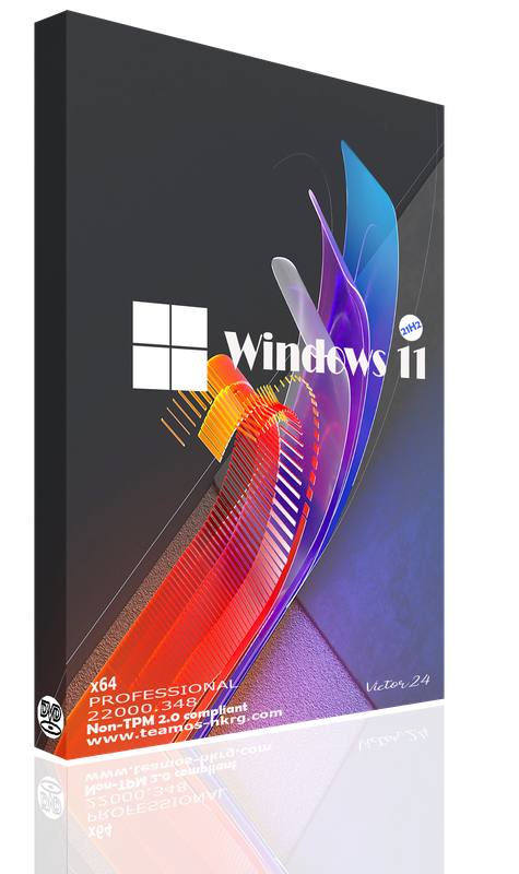 Win11-Pro-Victor24-22000-348-bia-DVD.png