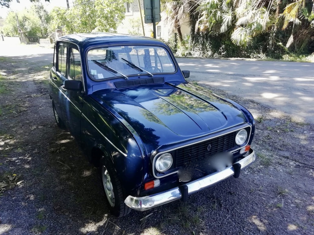 351C81EE-7DC3-4B77-9E88-3F9871970076_1_105_c