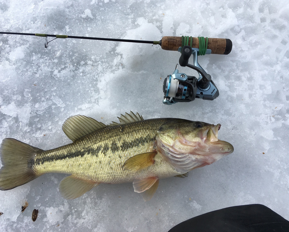 95FDFAA1-4990-4009-9568-C0BCA313355B