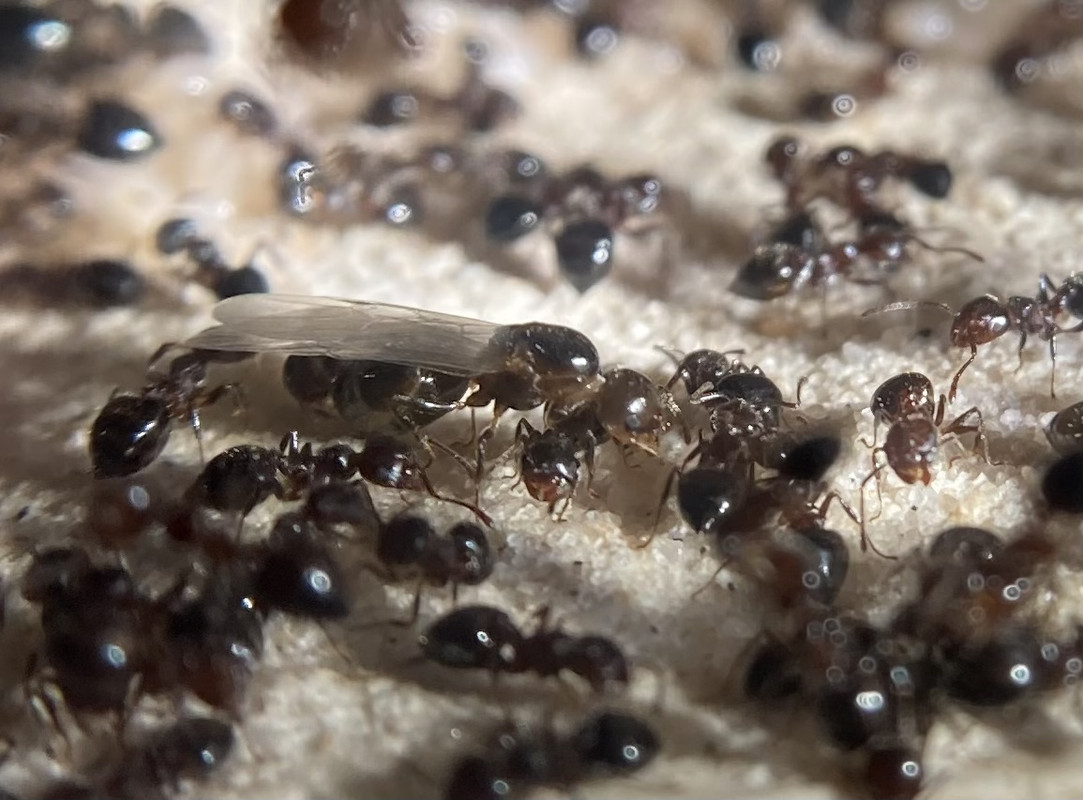 CD8D4913-856E-421D-9DE0-6C01070D3048