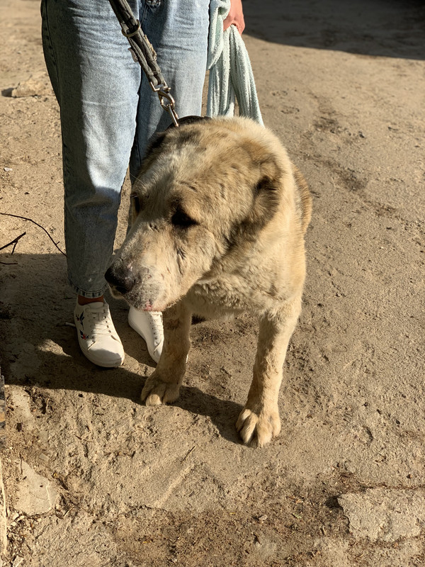 29A3DC86-07F4-4F5C-A221-E6683940190E