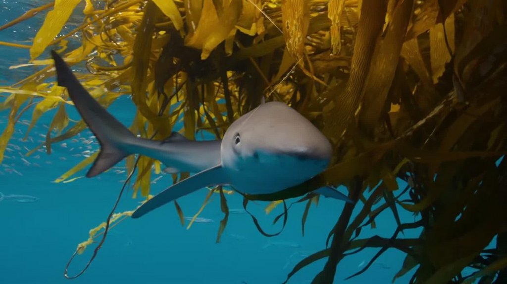 [Image: qg1f8dd5tnz7.jpg]