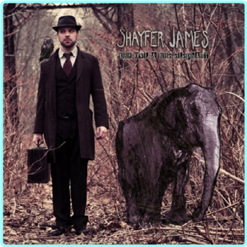 [Image: una6xf09goa8.png]