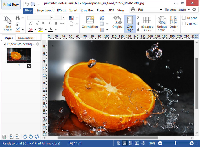 priPrinter Professional 6.6.0.2528 Beta