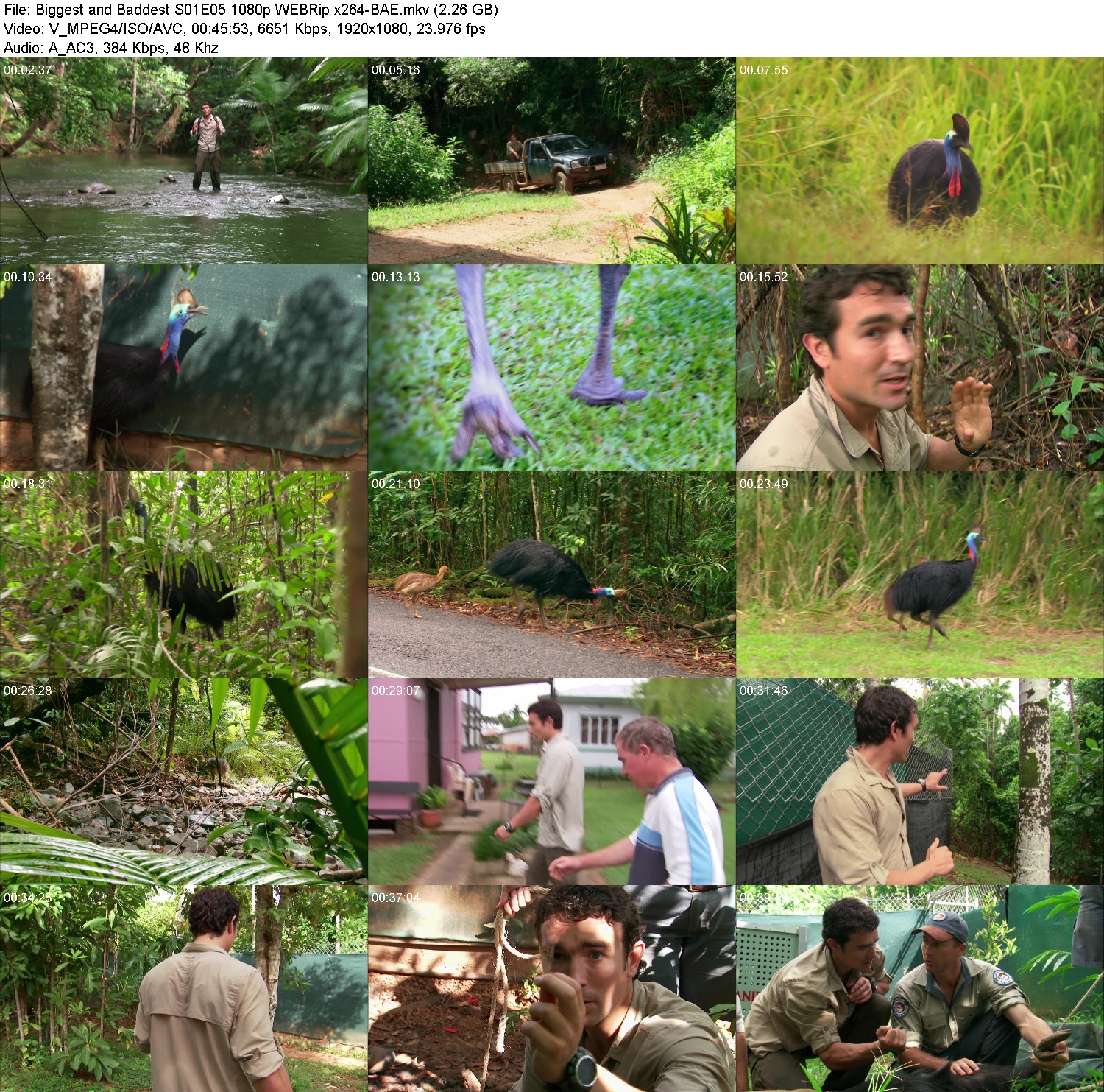 [Image: 9o9lebz1ba0h.jpg]