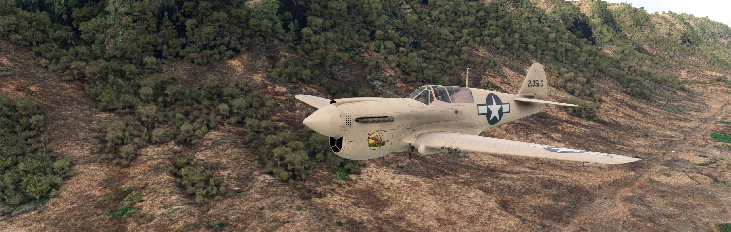 Warhawk-Dillingham.jpg