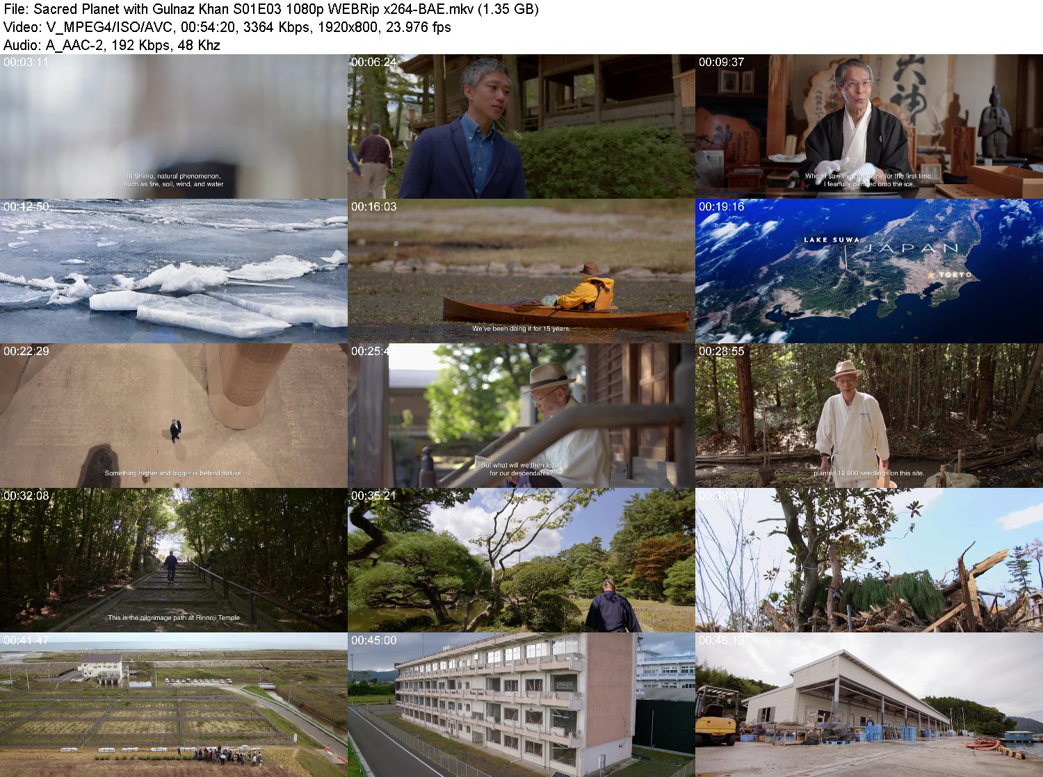 [Image: x1bifl6f3i6s.jpg]