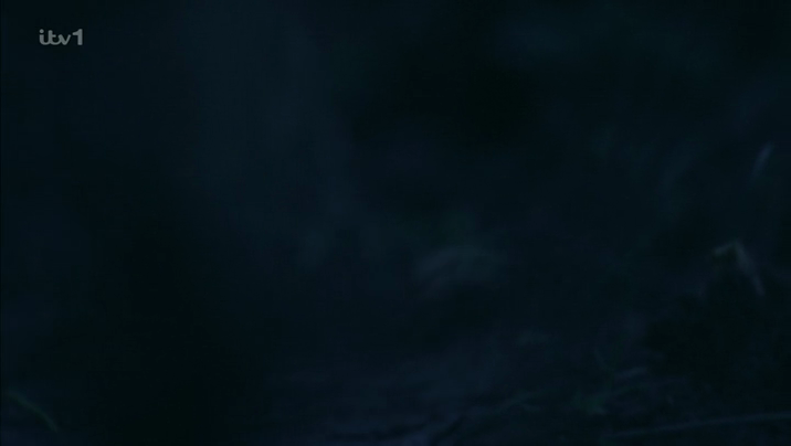 nu1y8qb3r9rs.png