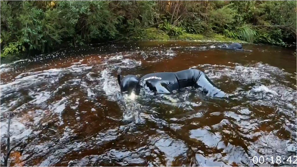 [Image: y1uz22ptoc0l.png]