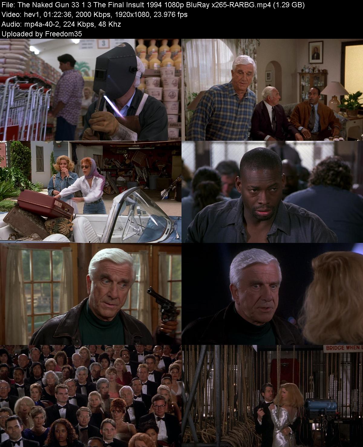 The-Naked-Gun-33-1-3-The-Final-Insult-19