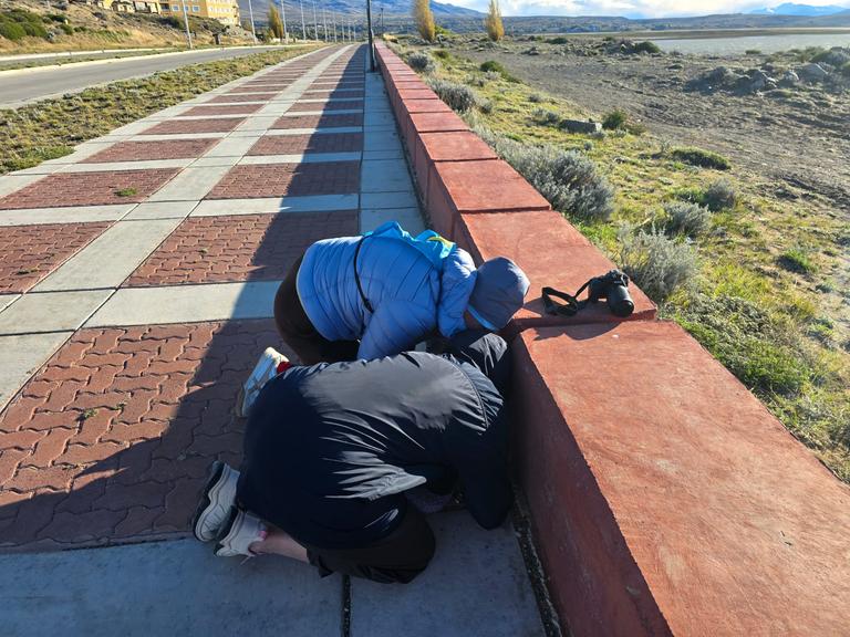 В джазе только девушки или аргентинско-бразильский калейдоскоп В джазе только девушки или аргентинско-бразильский калейдоскоп