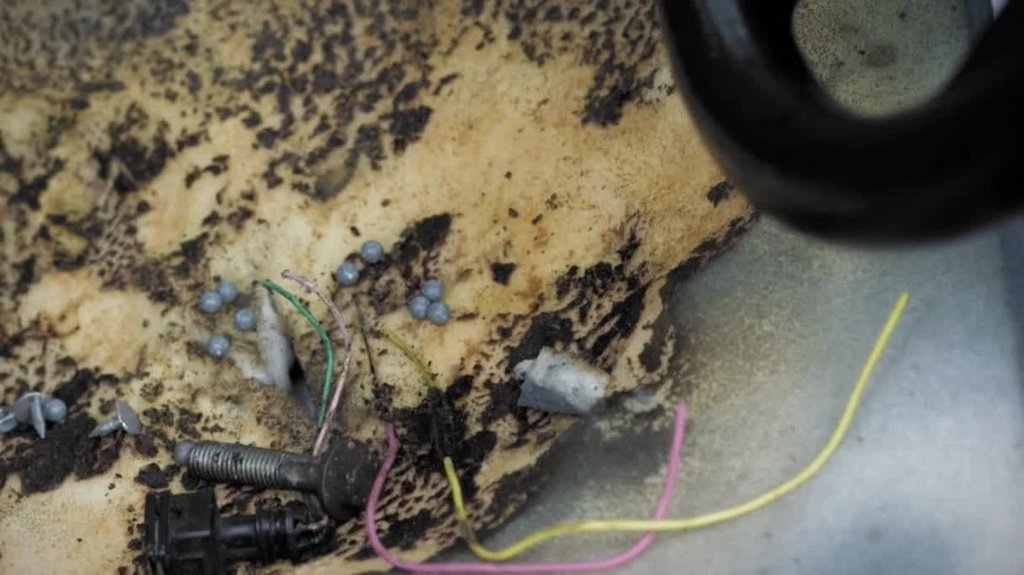 [Image: i3l7k0a2vfxl.jpg]