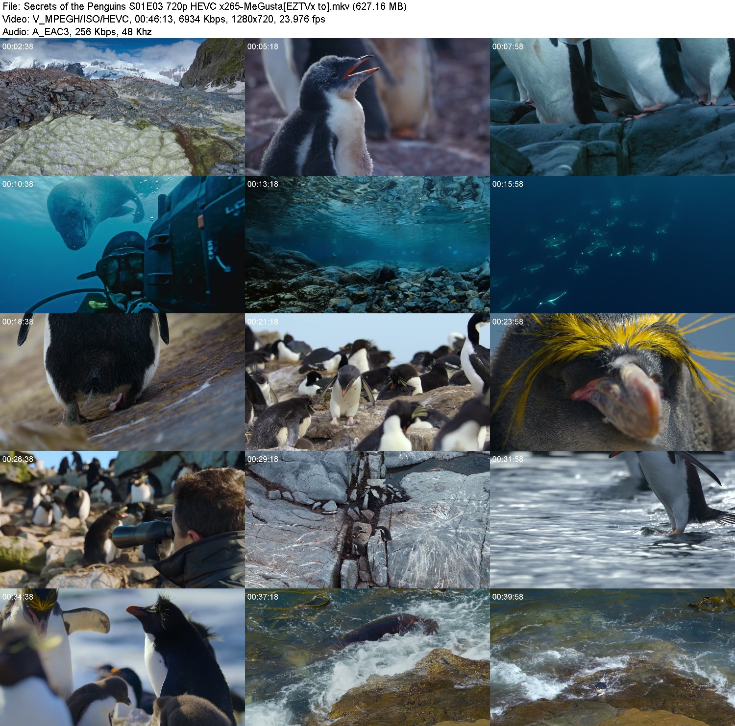 [Image: i79o6oif5ckv.jpg]