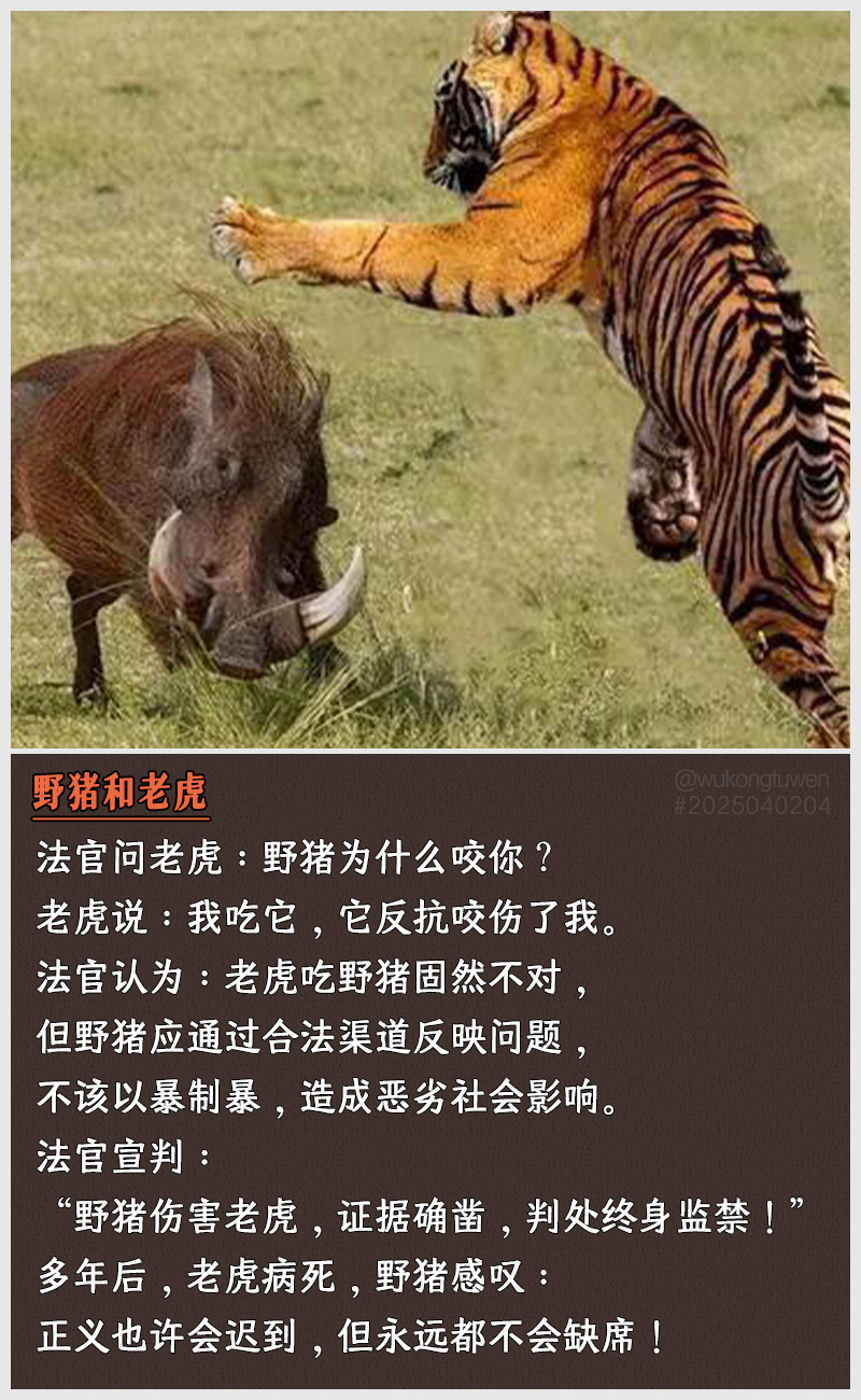 https://i.postimg.cc/SSjM7hx4/2025040204.jpg