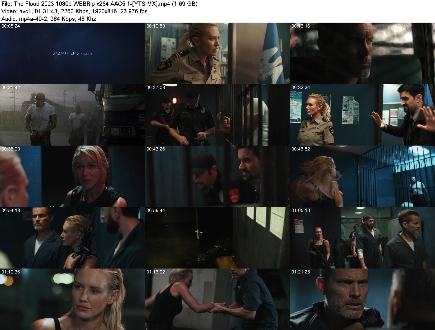 [Image: jtk43pj6pj7u.jpg]