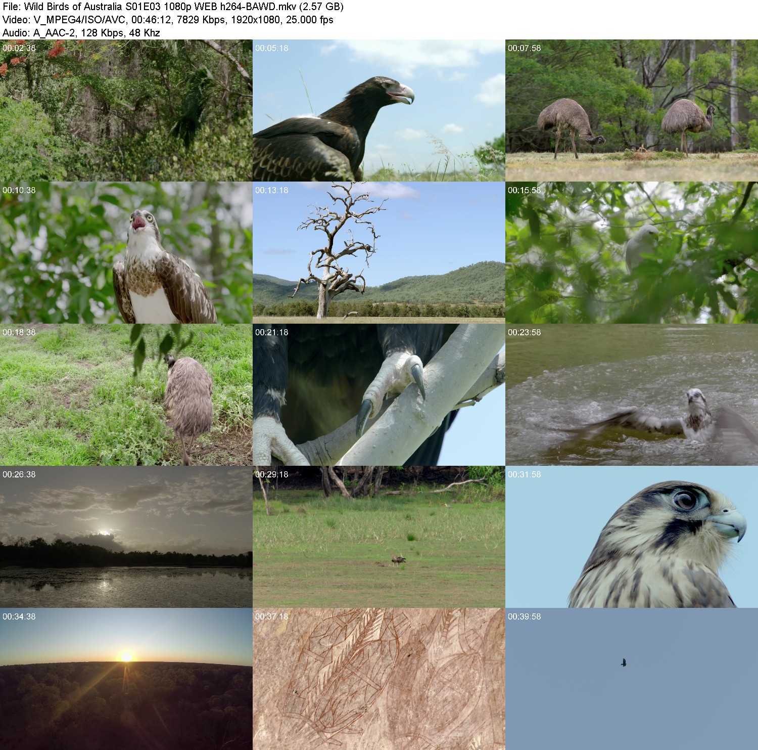 [Image: jy02mc8c3cwg.jpg]