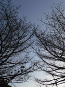 65.12.welcoming winter XII