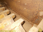 DSCN6542
