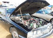 DSCN0542.jpg