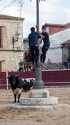 IMG-0082
