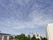 IMG_20220617_135711_1