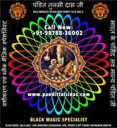 Best   Vashikaran Pandit in India Punjab Phillaur Jalandhar +91-9878836002   https://www.pandittulsi