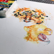 155912463_4337043336310350_1061964355533218496_n