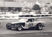 Don Bonafont Mustang Action