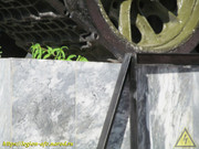 IMG-2238