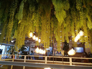 WhatsApp Image 2024-01-07 at 23.06.54