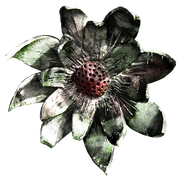 Blossom-Elements-31