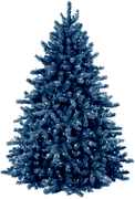 BC-ATaste-Of-Winter-El-77