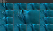 vid-(9)-mp4