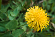 IMG-20190424-113934