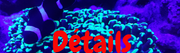 Ajouter-un-titre-3.png