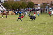 IMG-0036