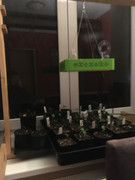 7CE08032-415B-4E07-9850-972F6D593459