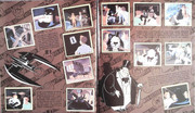 IMG-0022