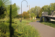 IMG-0488