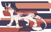 SILLY SPECIES BG