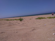 P-20210714-161340-p.jpg