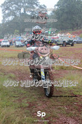 IMG-0186