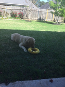 image_2023-02-02_230504644