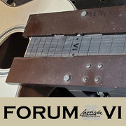 Larrivee- ForumVI-41