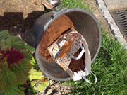 Kompostmiete Aus Drei mach Eins 3.Okt. 2015 (2)