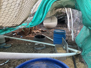 1D5FFA5F-9EA6-4877-B31A-5C213BBA5B43