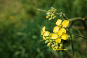 IMG-20190424-130442