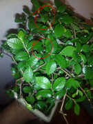 IMG_20200211_220414_122