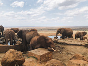 88A43ADD-251D-4710-A12E-29CA6B474841