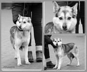 1.jpg&key=f40f427f977578fe148d38780e0720